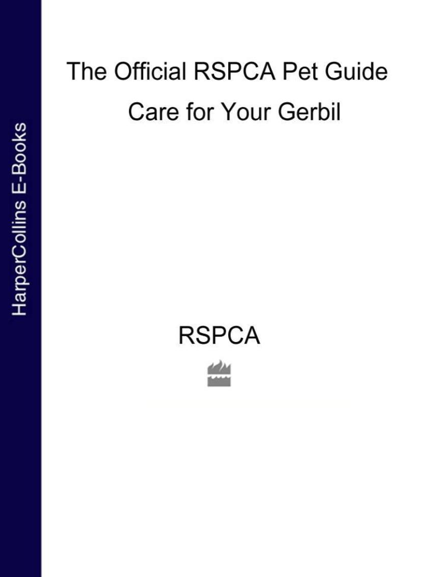 Care for your Gerbil (The Official RSPCA Pet Guide)