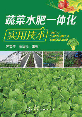 蔬菜水肥一体化实用技术