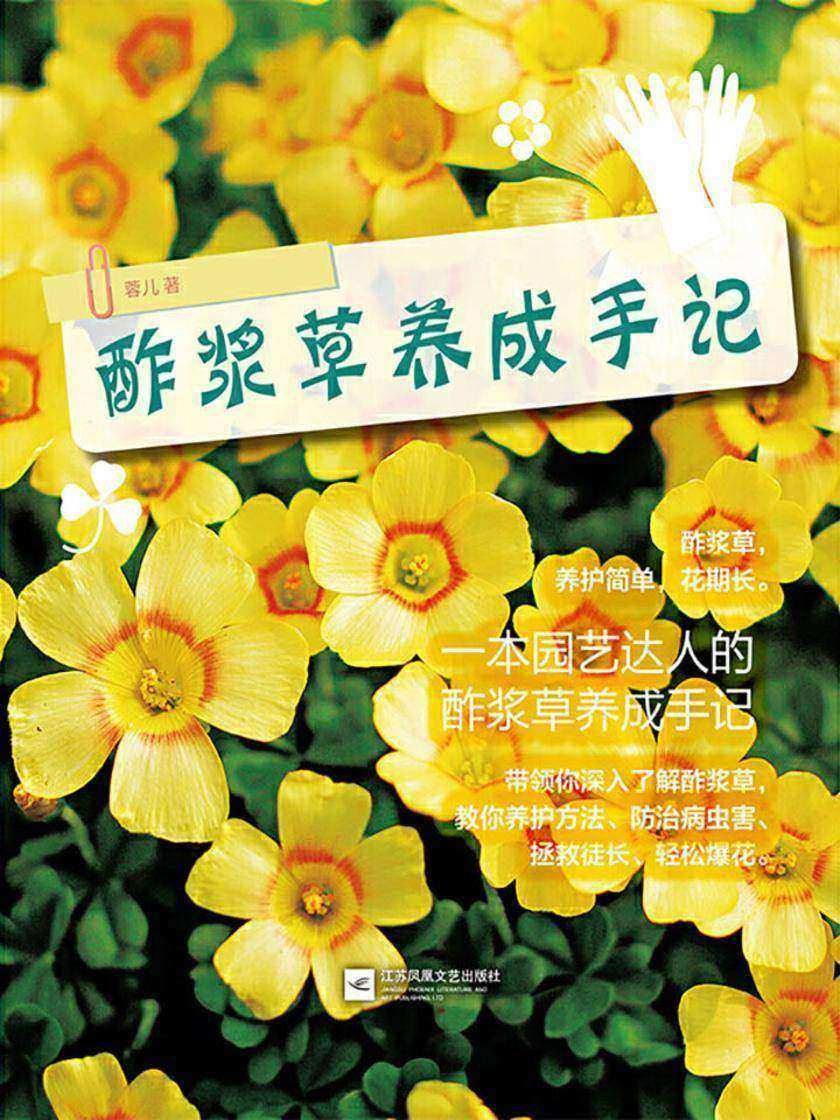 酢浆草养成手记