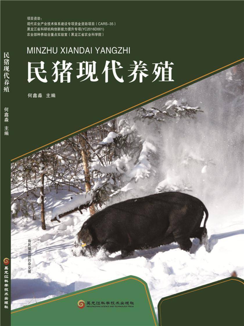 民猪现代养殖