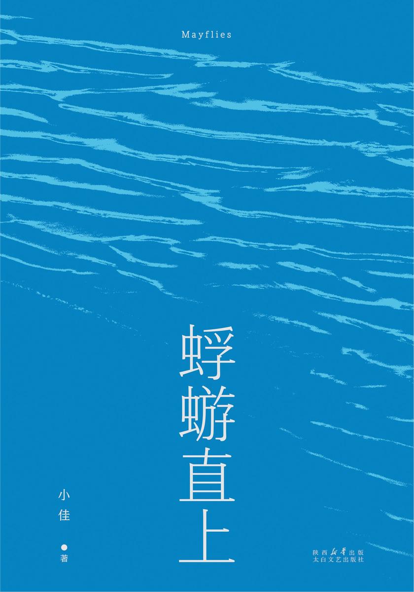 蜉蝣直上