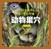让孩子着迷的第一堂自然课-动物巢穴