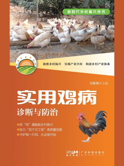 实用鸡病诊断与防治(新时代乡村振兴丛书)