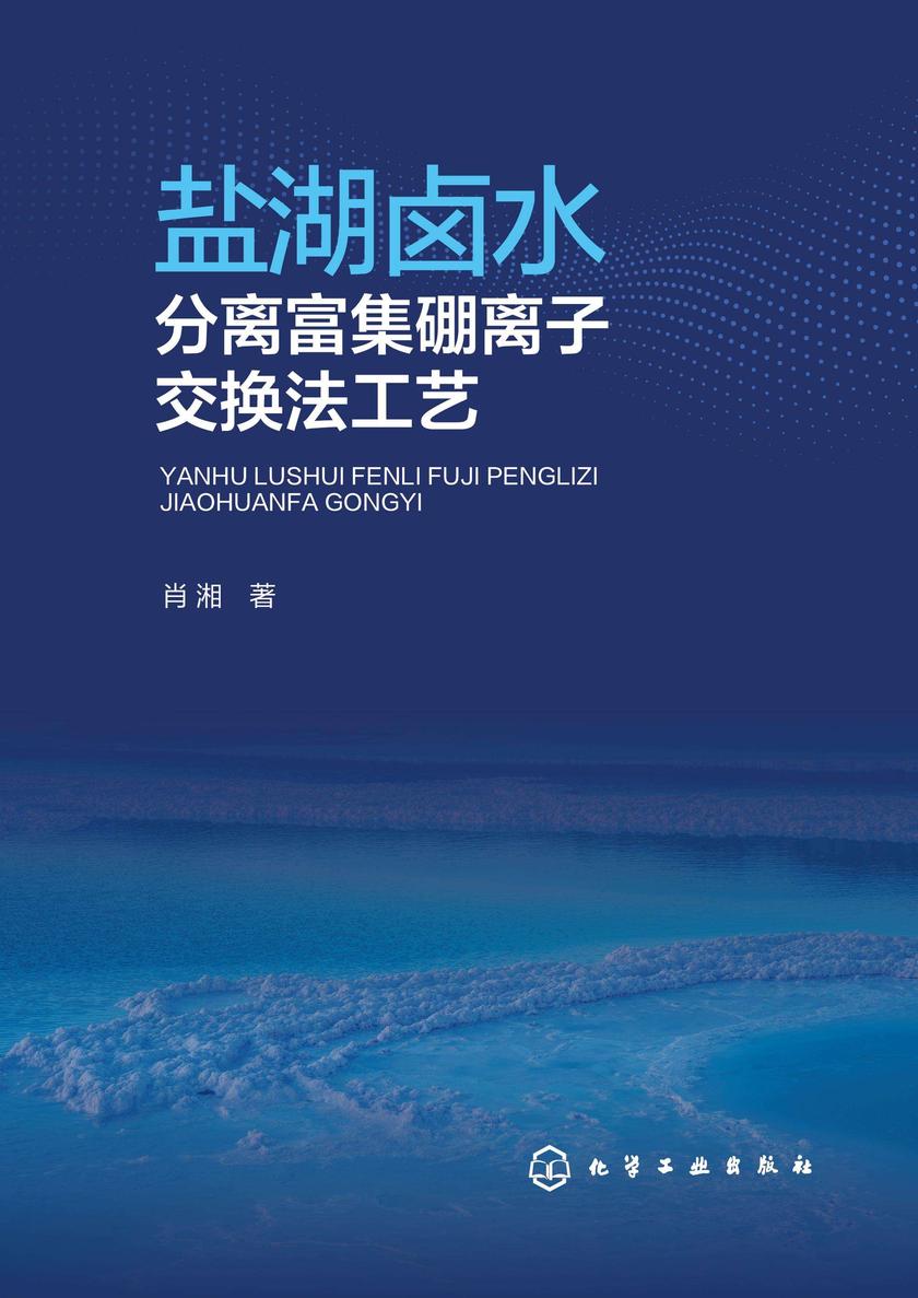 盐湖卤水分离富集硼离子交换法工艺