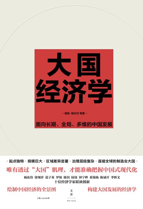 大国经济学:面向长期、全局、多维的中国发展