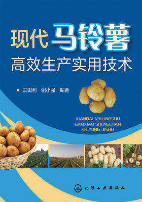 现代马铃薯高效生产实用技术