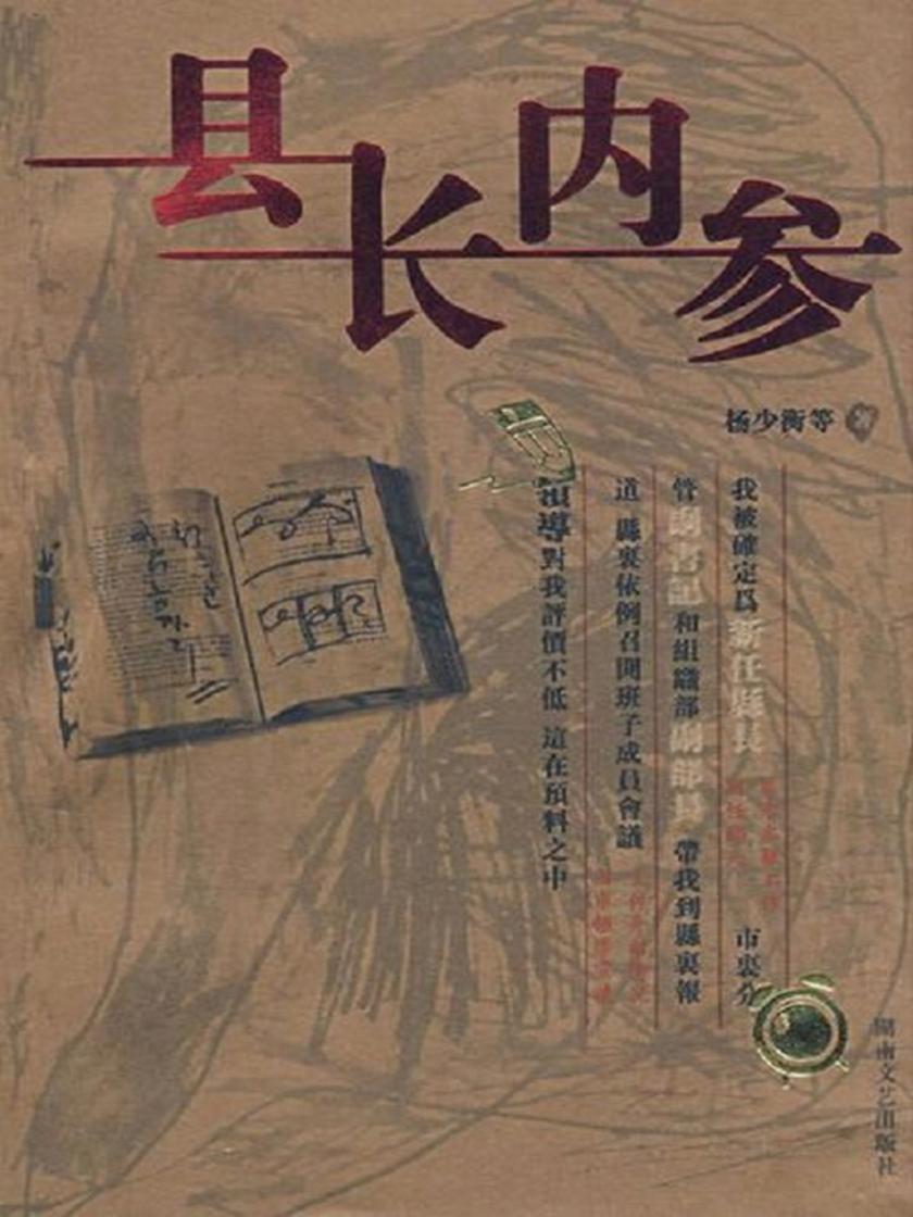 县长内参