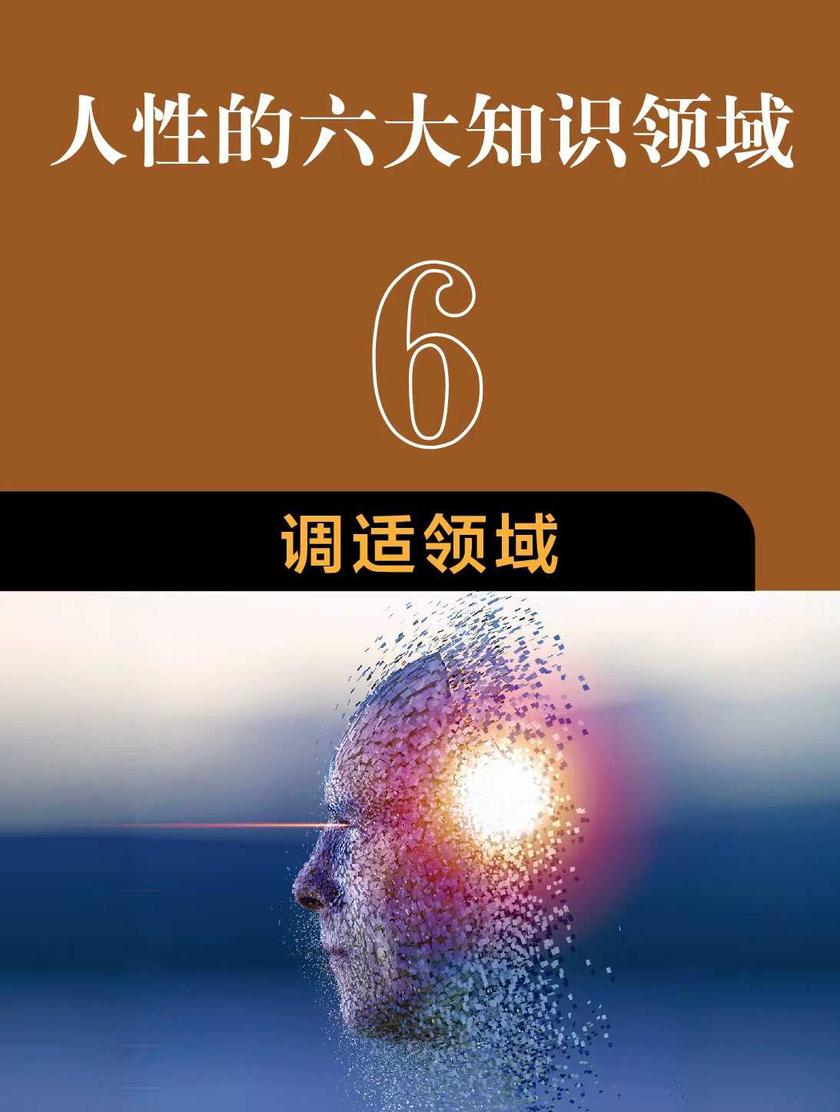 人性的六大知识领域:6 调适领域