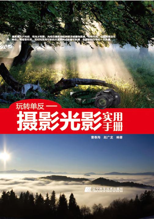 玩转单反：摄影光影实用手册