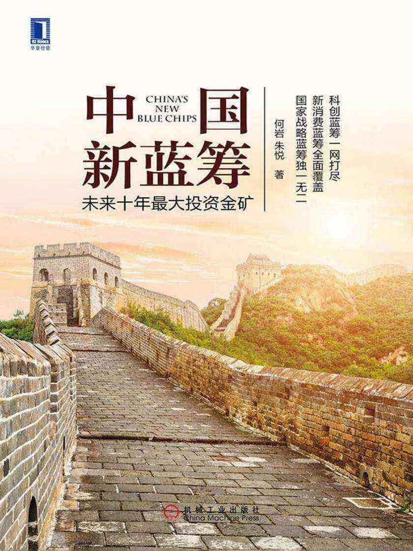 中国新蓝筹:未来十年*大投资金矿