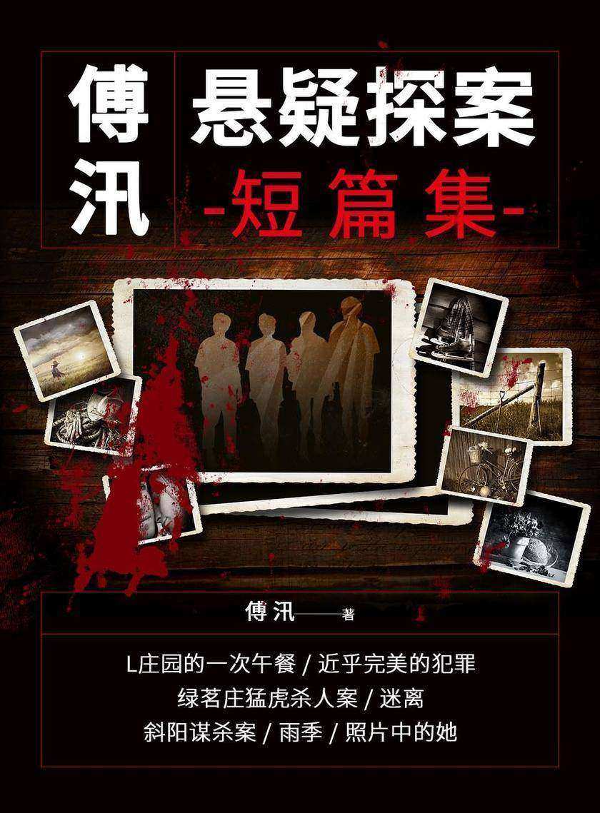 傅汛:悬疑探案短篇集