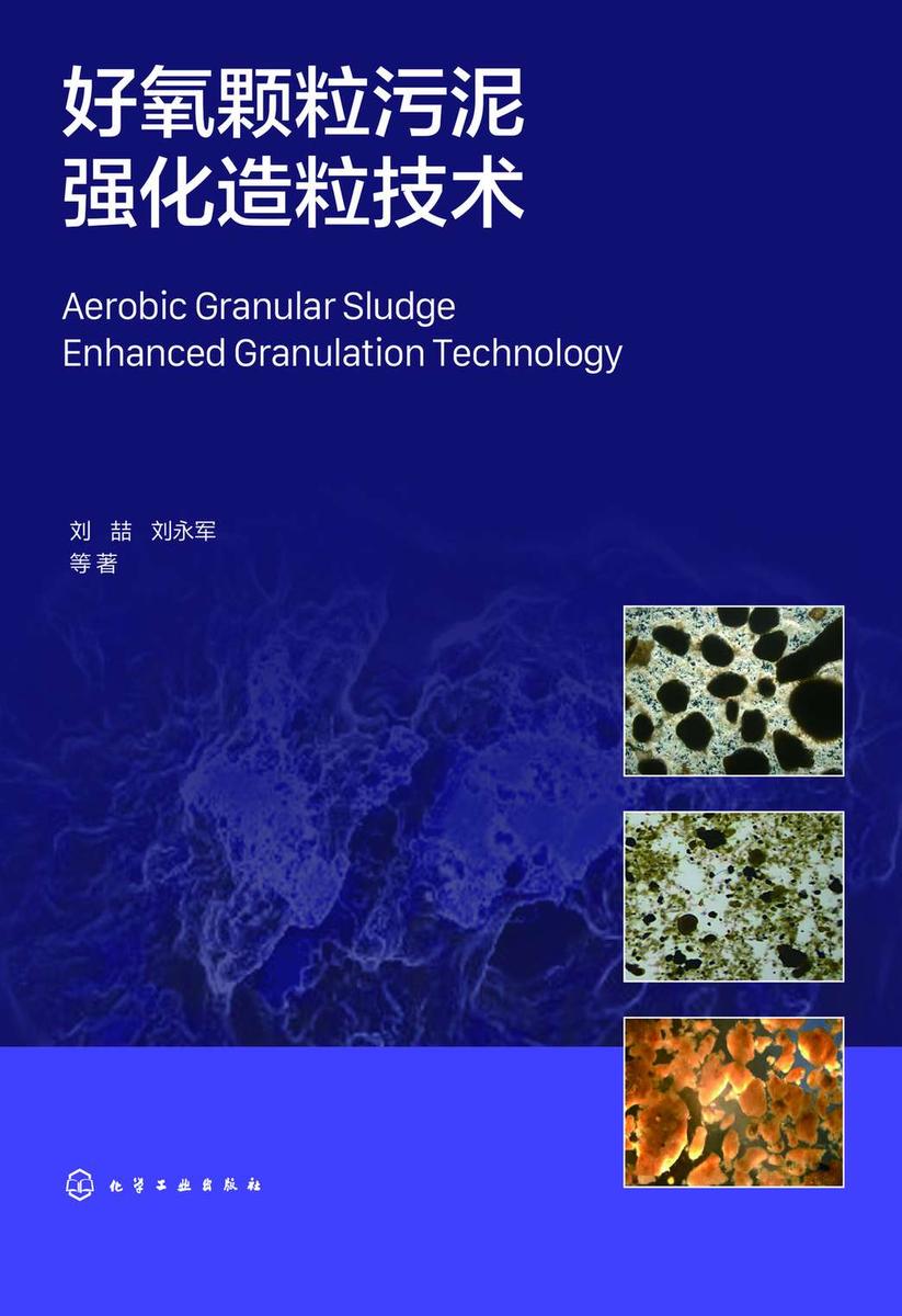 好氧颗粒污泥强化造粒技术