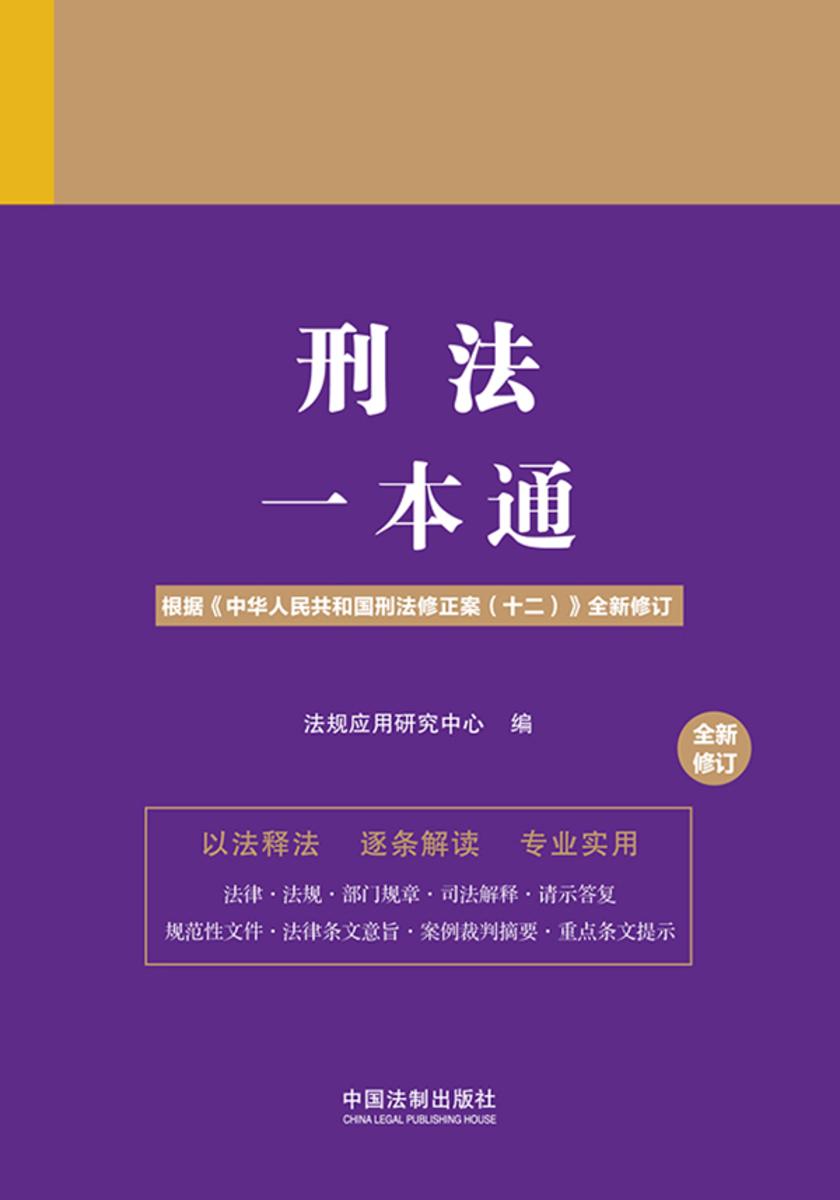 刑法一本通(第十版)