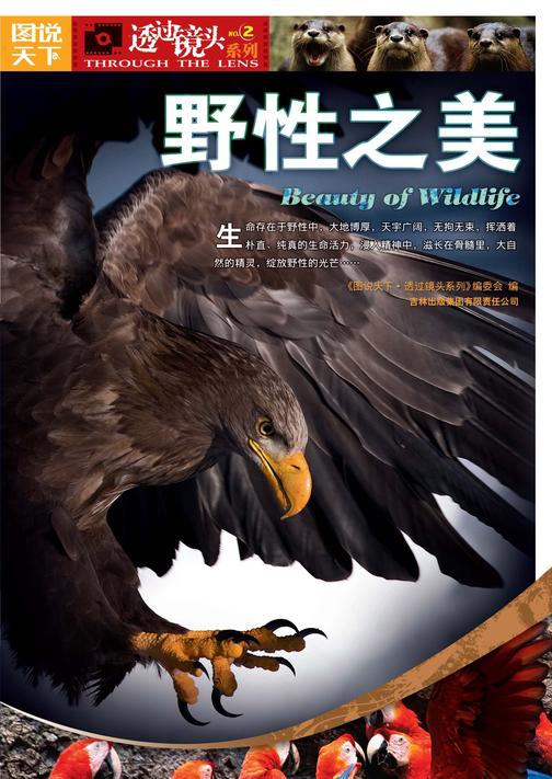 野性之美