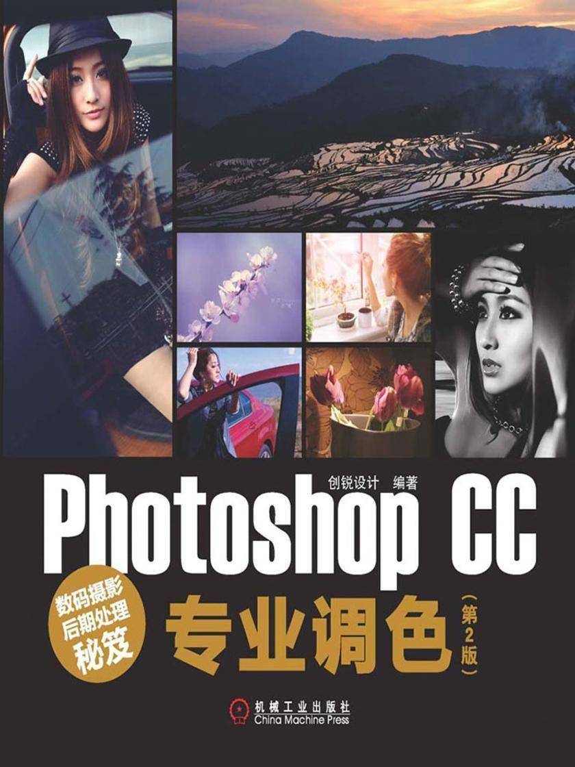 数码摄影后期处理秘笈:Photoshop CC专业调色(第2版)