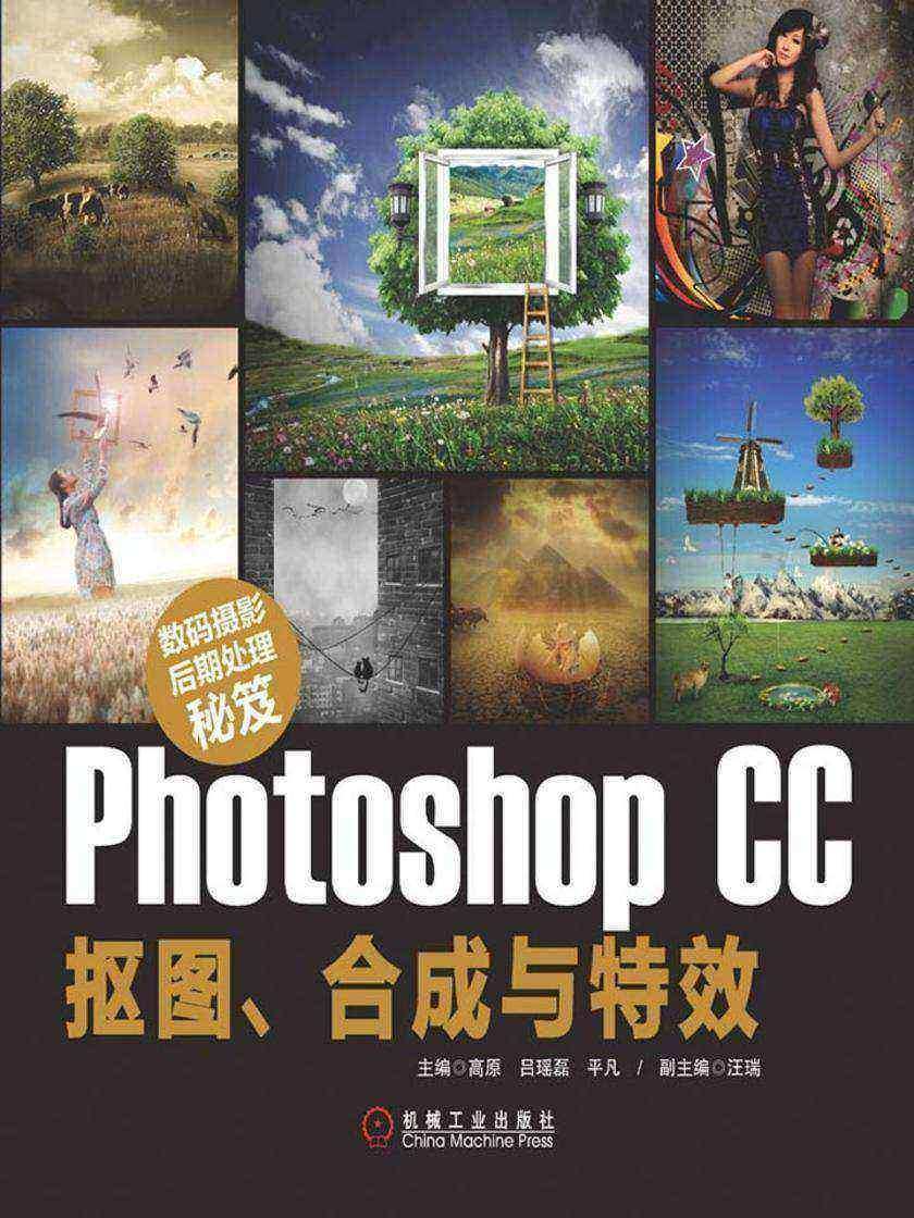 数码摄影后期处理秘笈:Photoshop CC抠图、合成与*