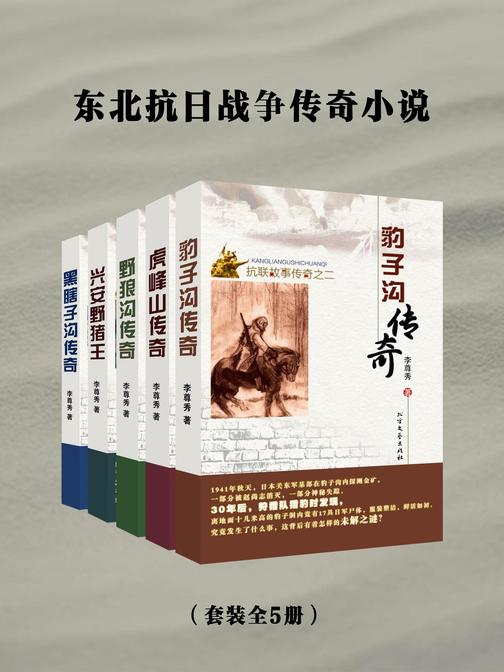 东北抗日战争传奇小说(全5册)