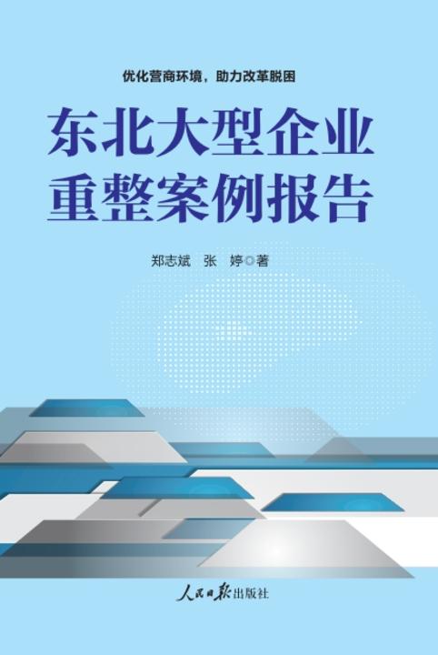 东北大型企业重整案例报告