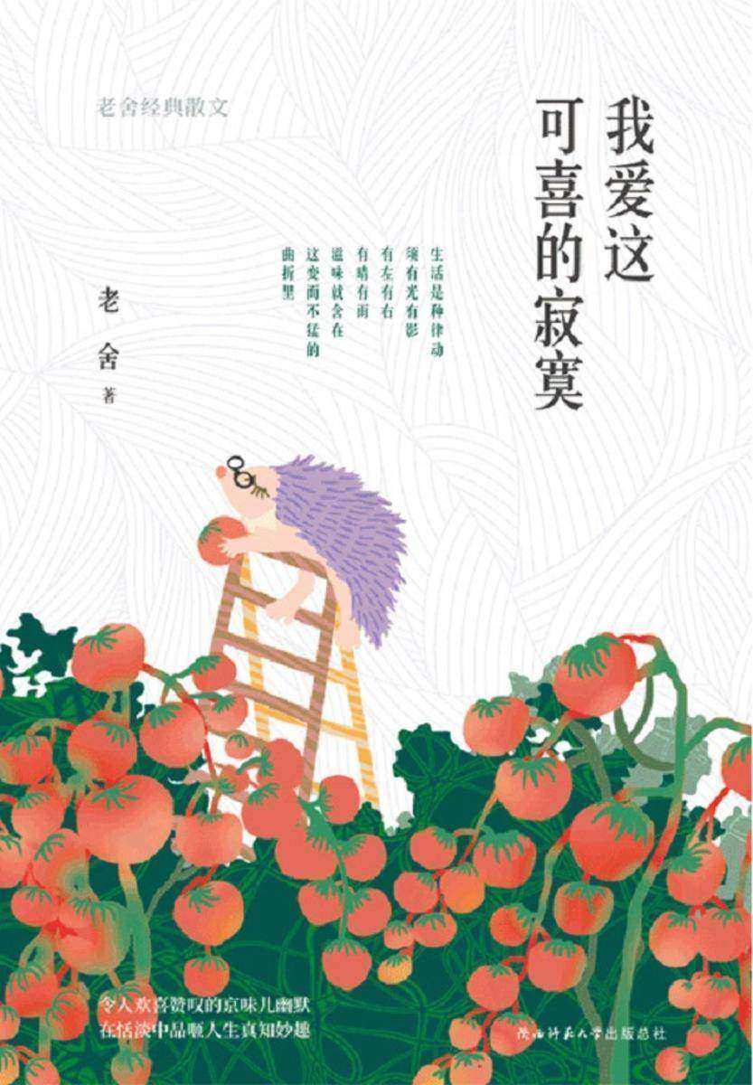 我爱这可喜的寂寞：老舍经典散文