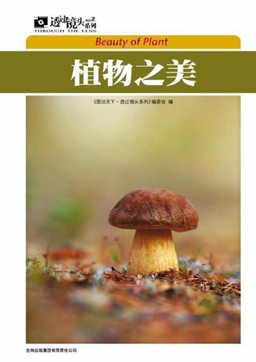 植物之美
