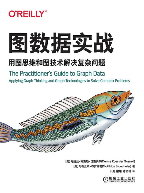 图数据实战:用图思维和图技术解决复杂问题
