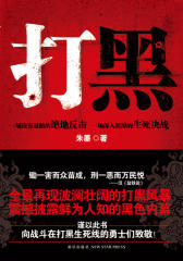 打黑(震撼披露鲜为人知的黑色内幕)