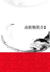 动植物简介2