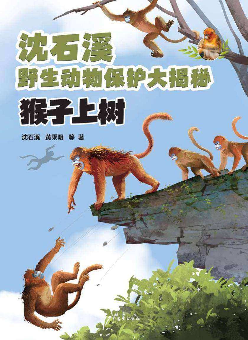 沈石溪野生动物保护大揭秘:猴子上树