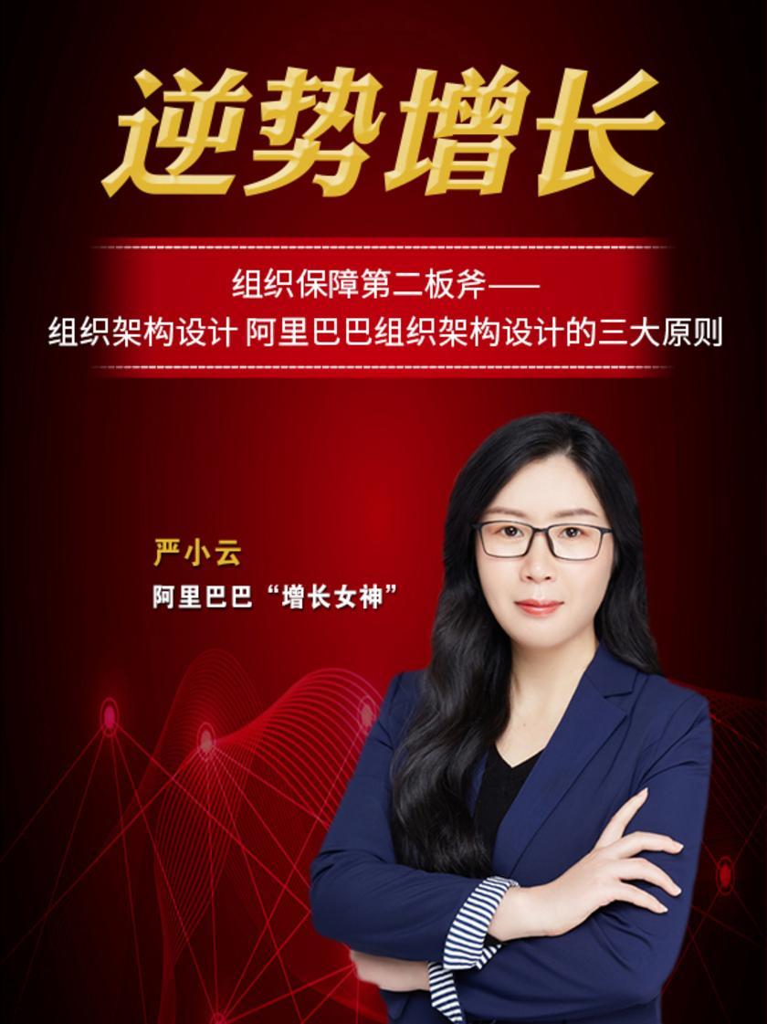 7组织保障第二板斧——组织架构设计 阿里巴巴组织架构设计的三大原则(此商品为视频课程)