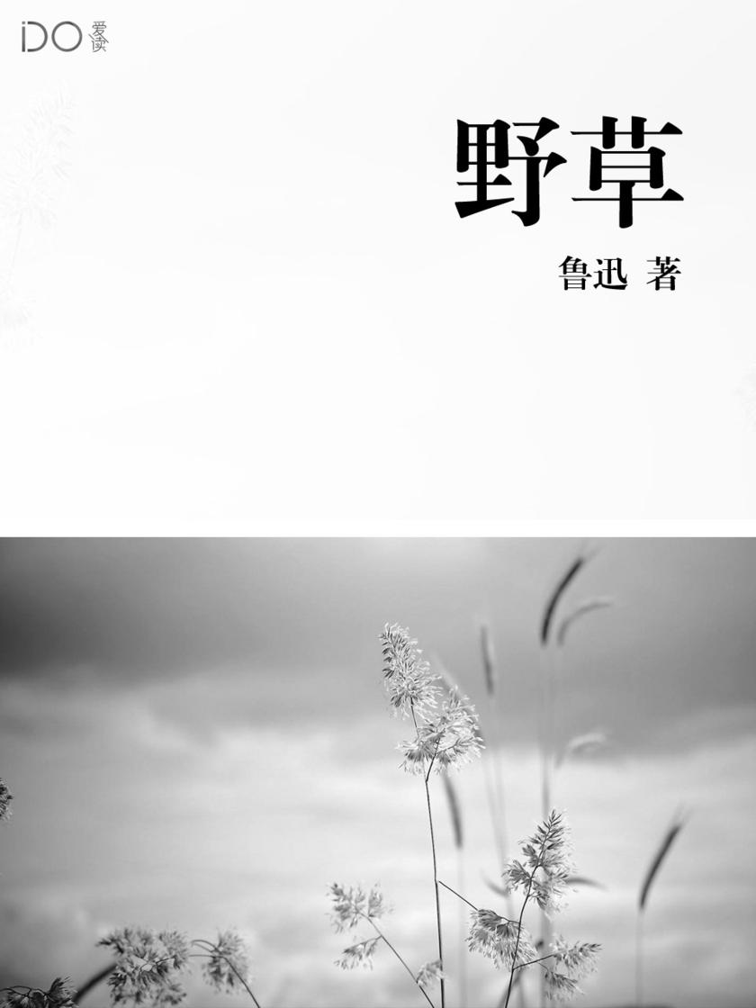 野草