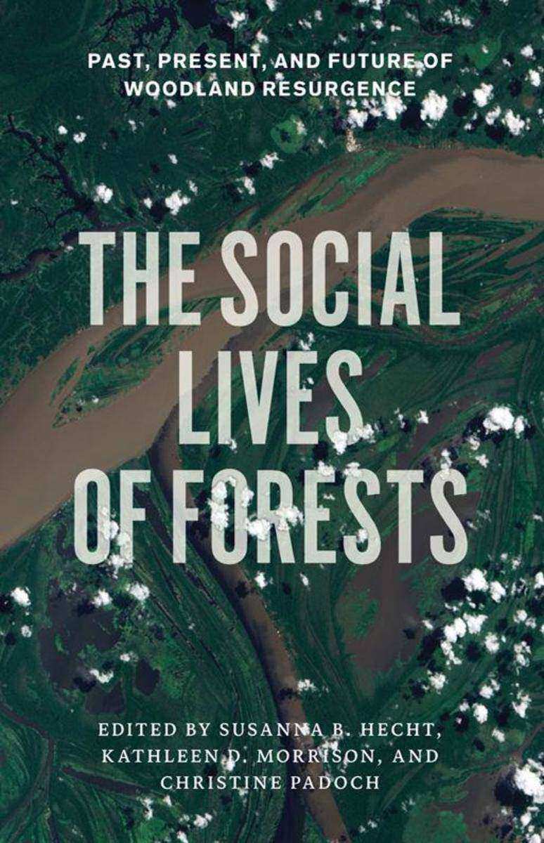 Social Lives of Forests
