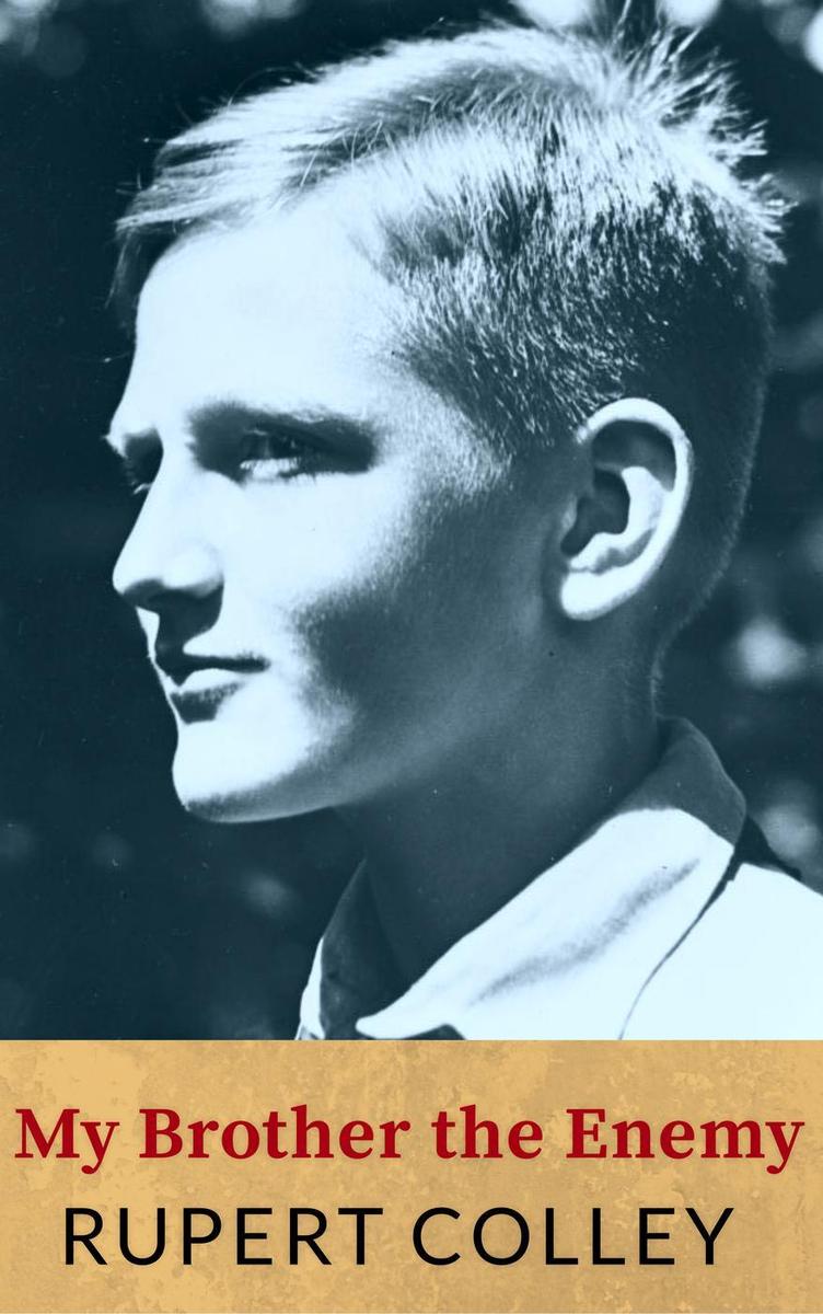 My Brother the Enemy: Nazi German historical fiction