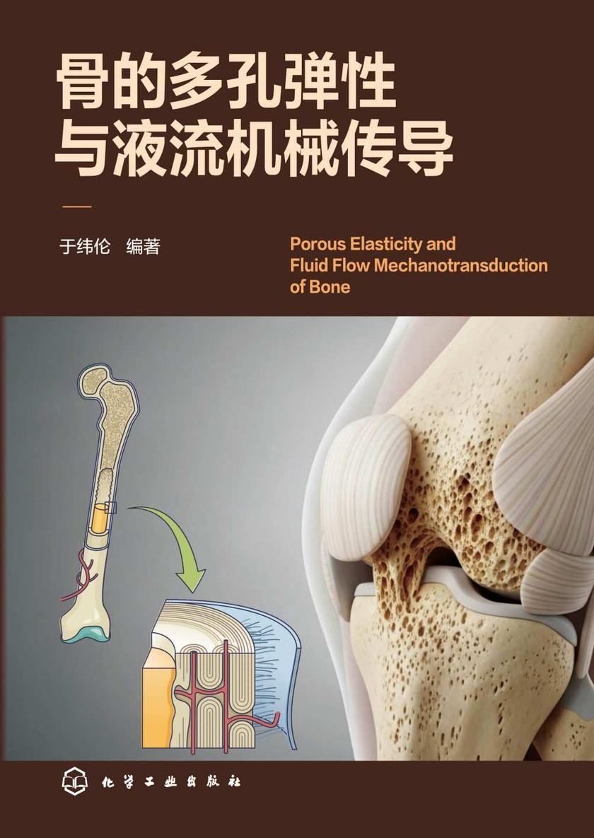 骨的多孔弹性与液流机械传导