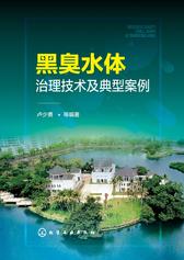 黑臭水体治理技术及典型案例
