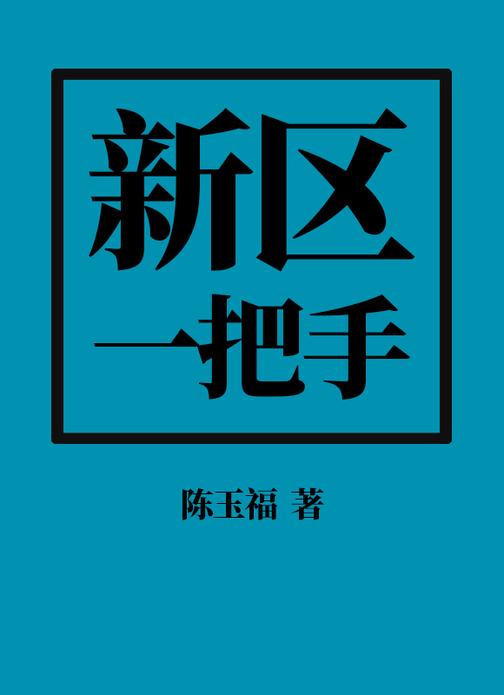 1号首长:新区一把手