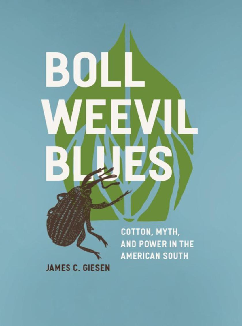 Boll Weevil Blues