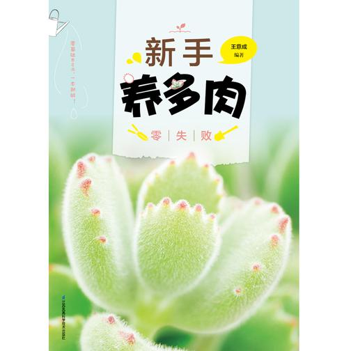 新手养多肉零失败