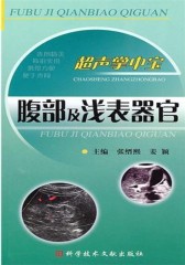 腹部及浅表器官