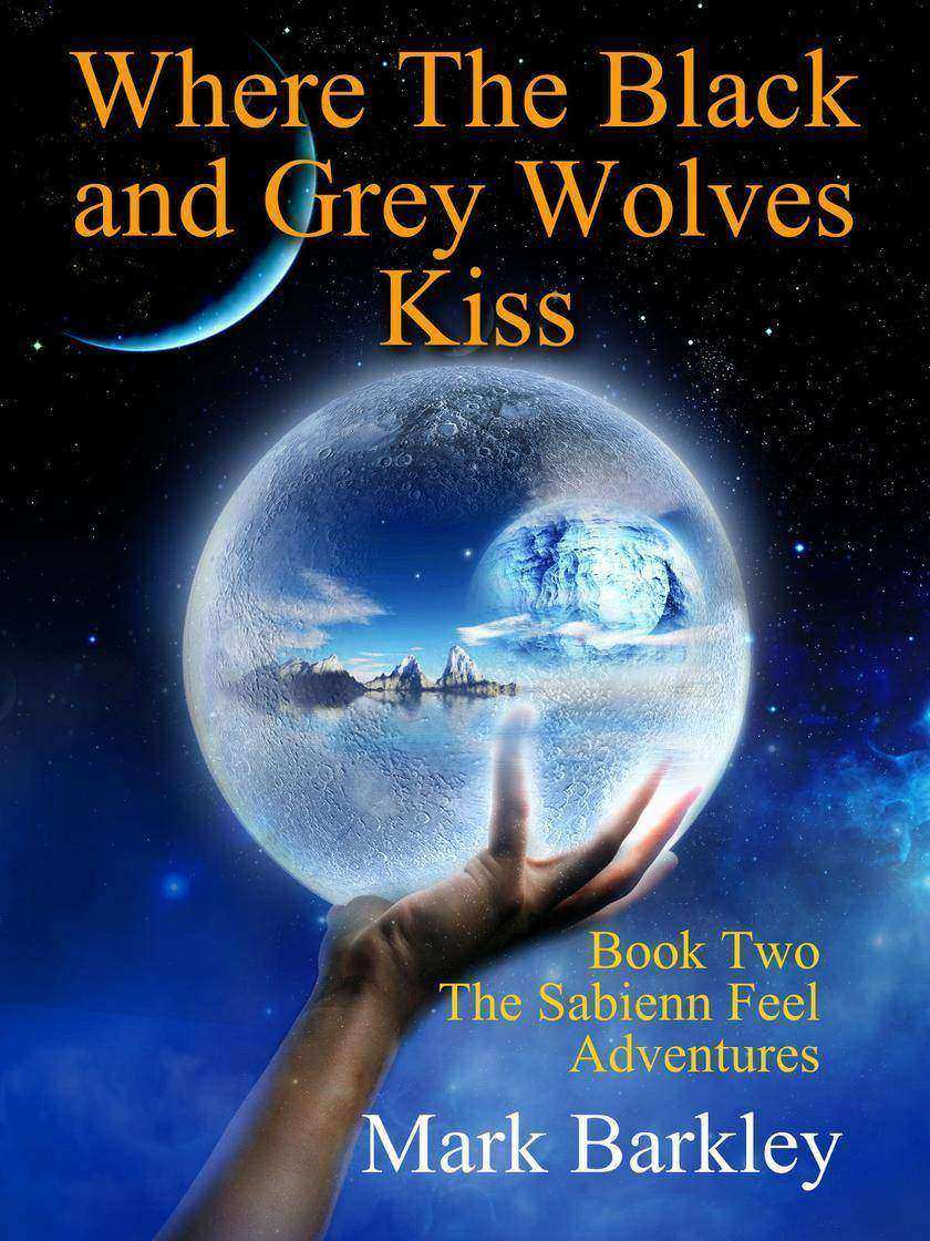 Where The Black and Grey Wolves Kiss: Book Two: The Sabienn Feel Adventures