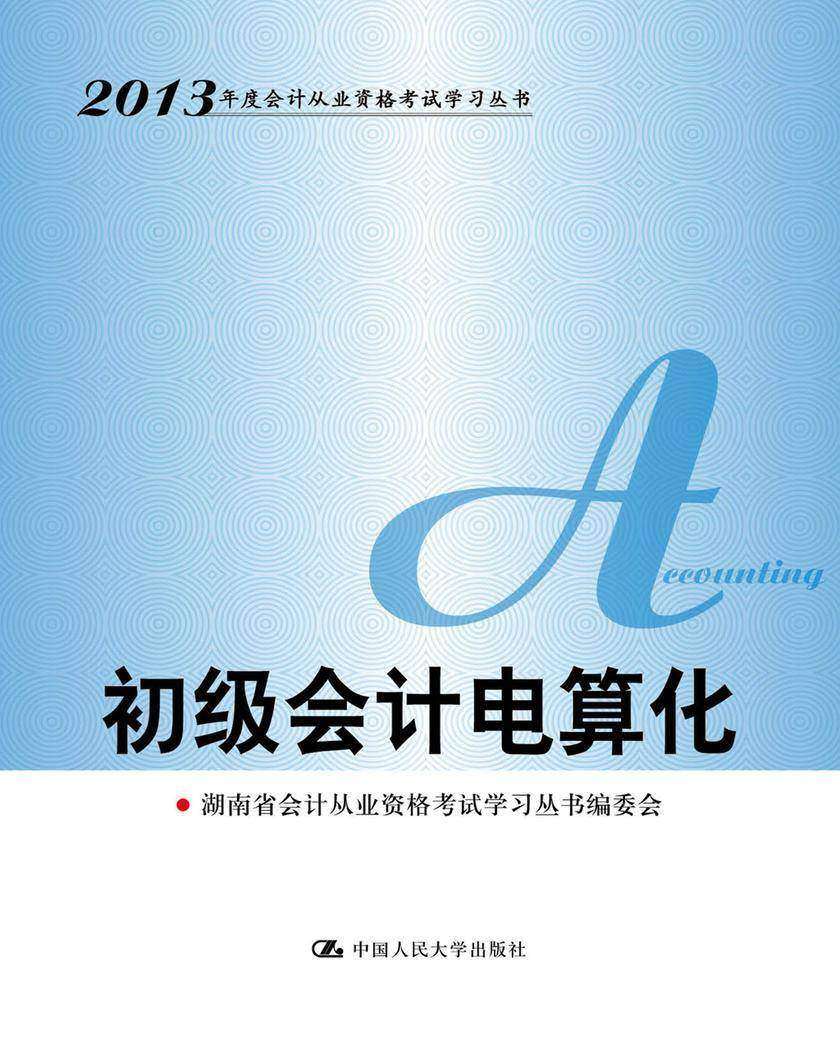 初级会计电算化