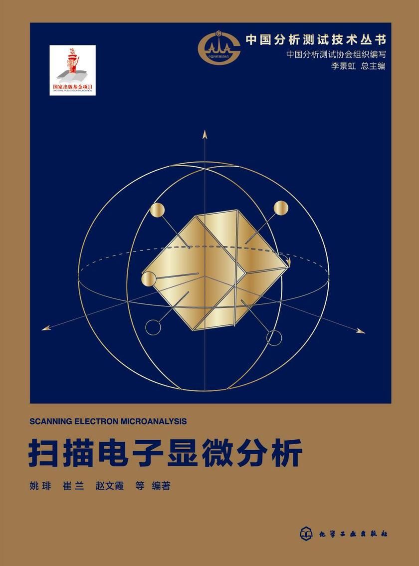 扫描电子显微分析