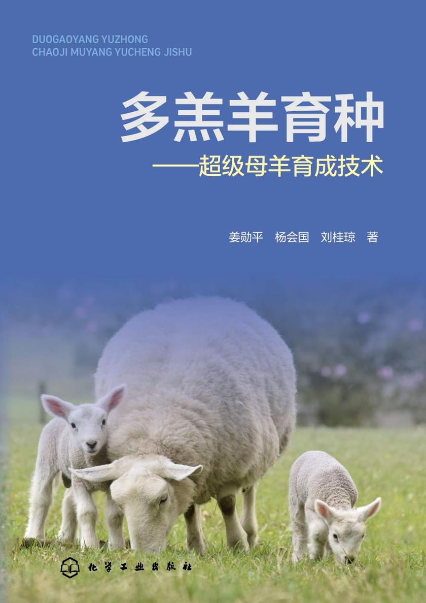 多羔羊育种——超级母羊育成技术