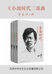 王小波时代三部曲