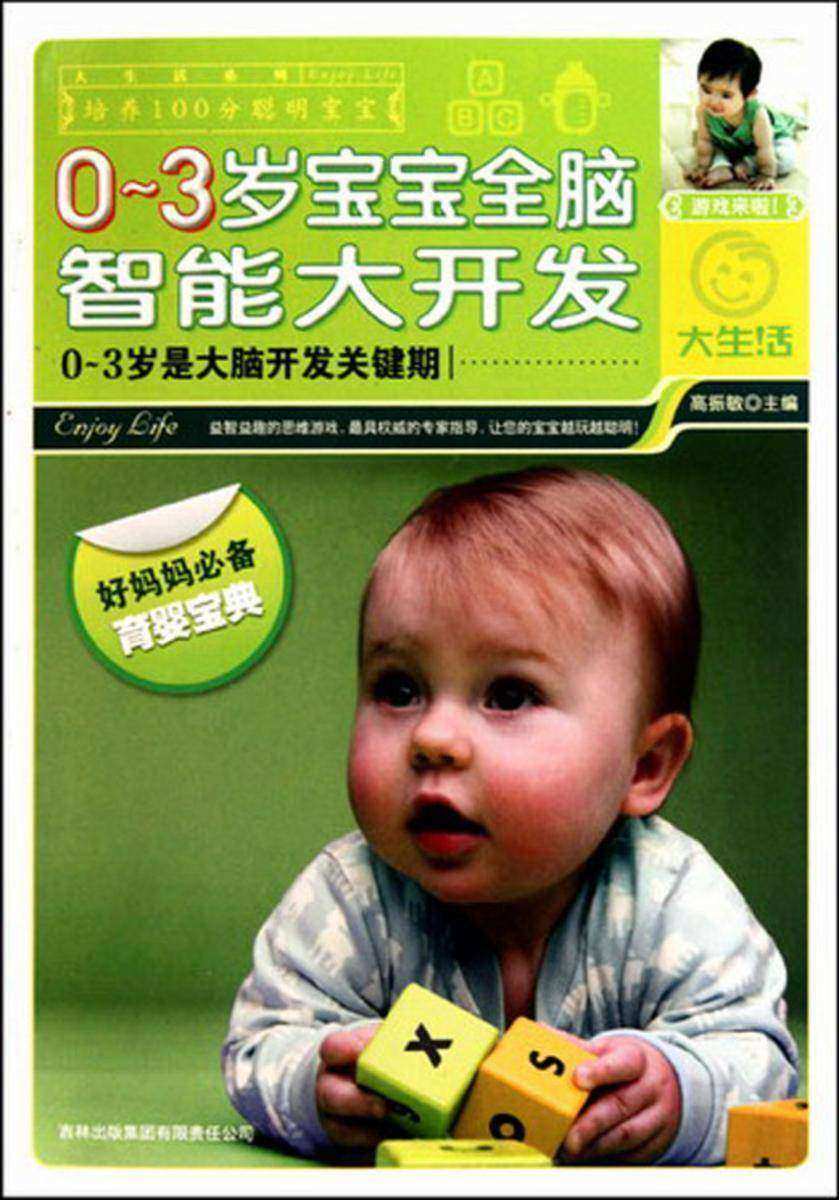 0-3岁宝宝全脑智能大开发