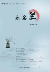 无名兰