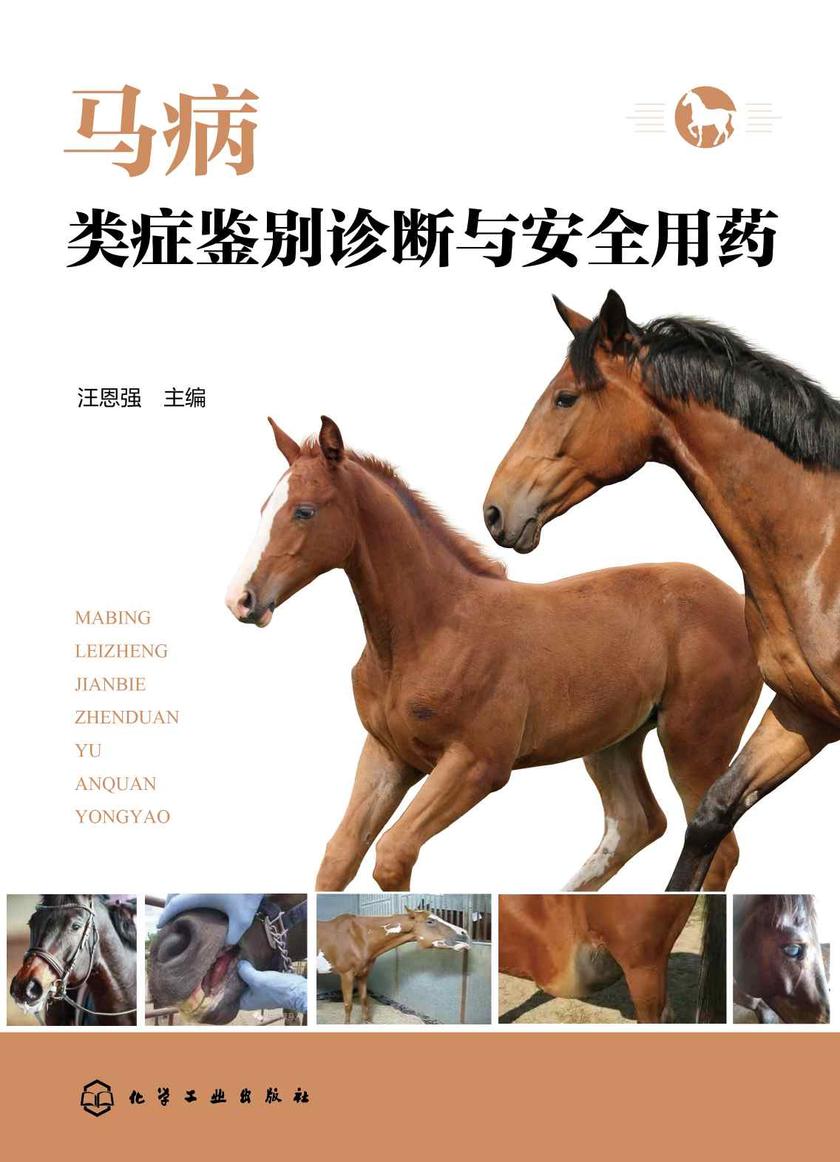 马病类症鉴别诊断与安全用药