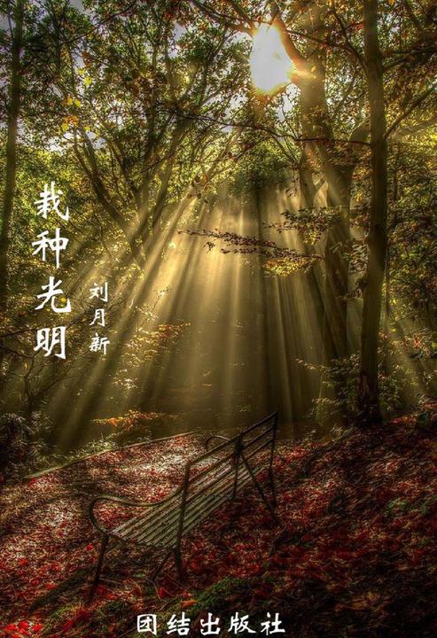 栽种光明