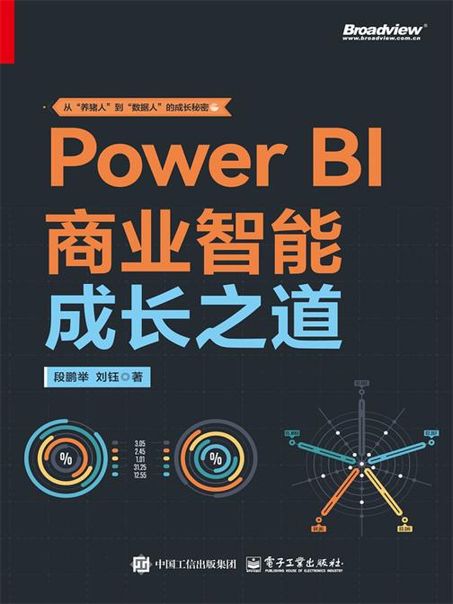 Power BI 商业智能成长之道