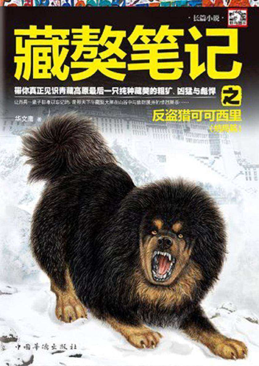 藏獒笔记之反盗猎可可西里