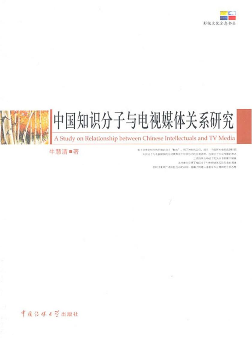 中国知识分子与电视媒体关系研究